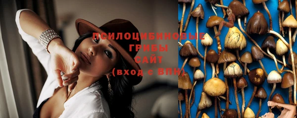 прущие грибы Пестово