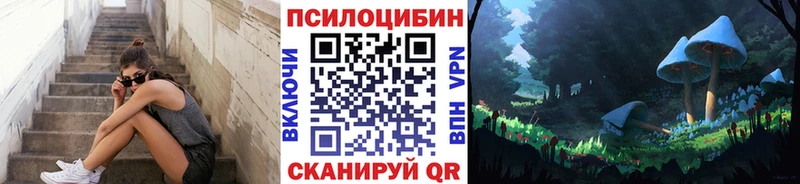даркнет сайт  Плавск  Псилоцибиновые грибы Magic Shrooms 